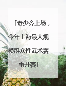 老少齐上场，今年上海最大规模群众性武术赛事开赛
